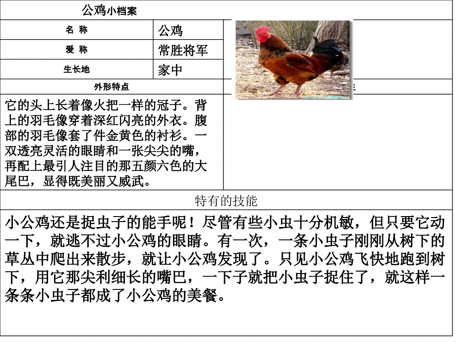 动物小档案1_第2页