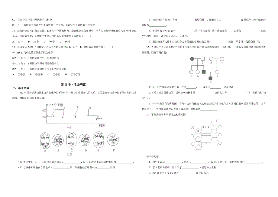 【100所名校】2017-2018学年北京四中高一下学期期中考试生物试题（解析版）_第4页