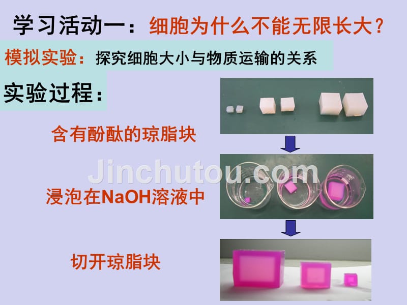 2019届高三生物一轮复习---苏科版高中生物必修一有丝分裂教学课件 (共24张PPT) (1)_第4页