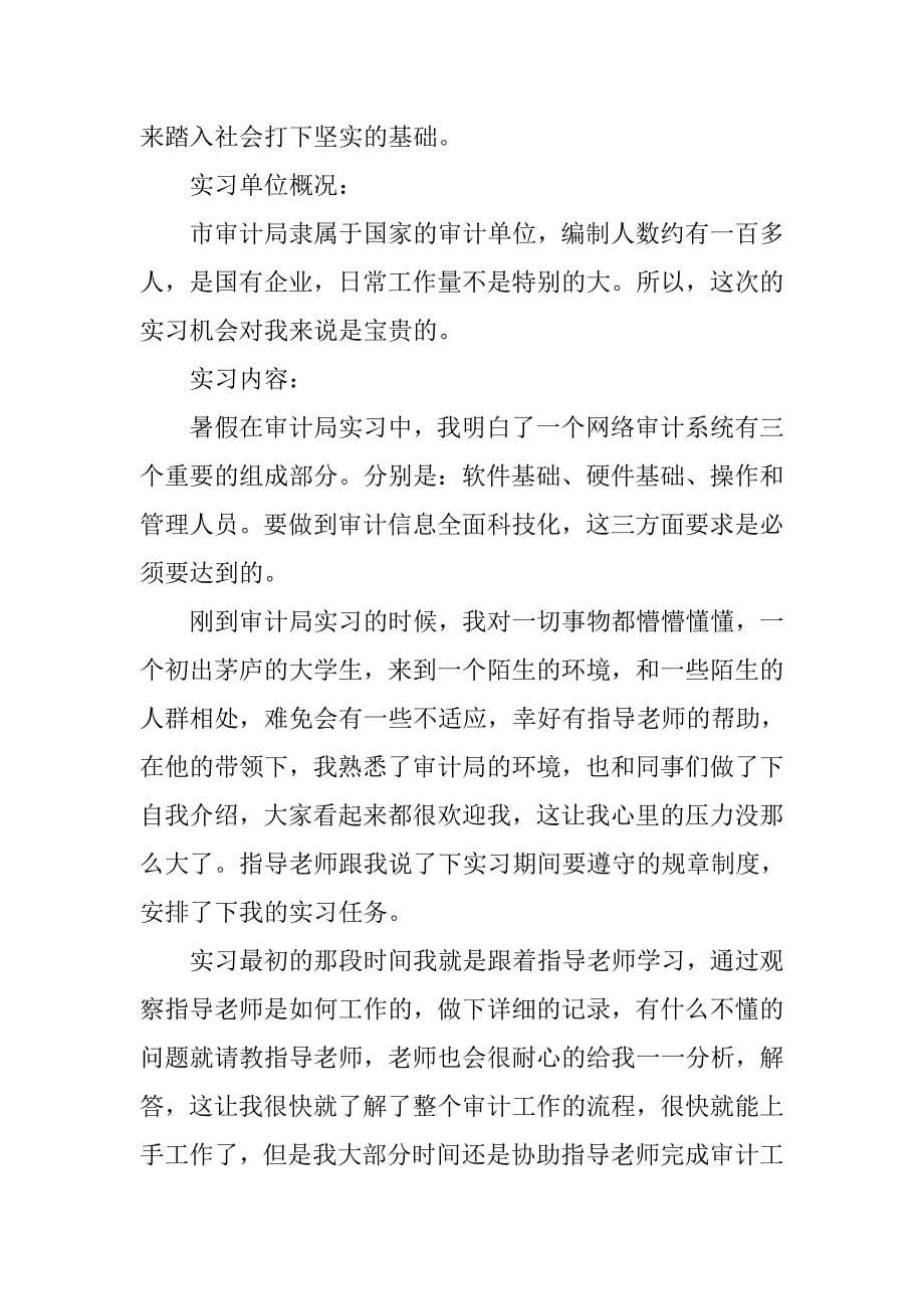 政府审计实习报告1000字.doc_第5页