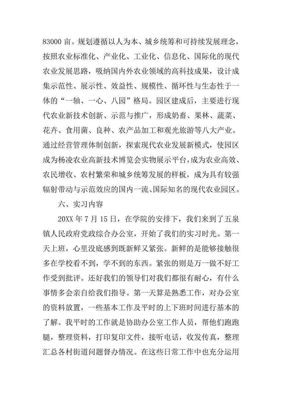 政府实习报告总结3000字.doc_第5页