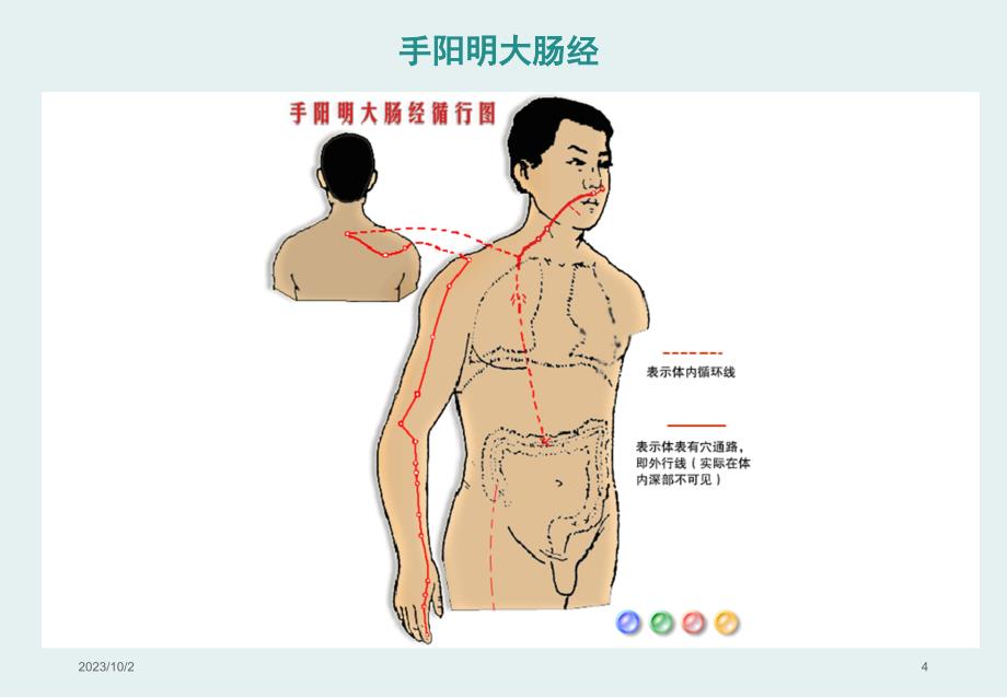 中医经络之——2、手阳明大肠经_第4页