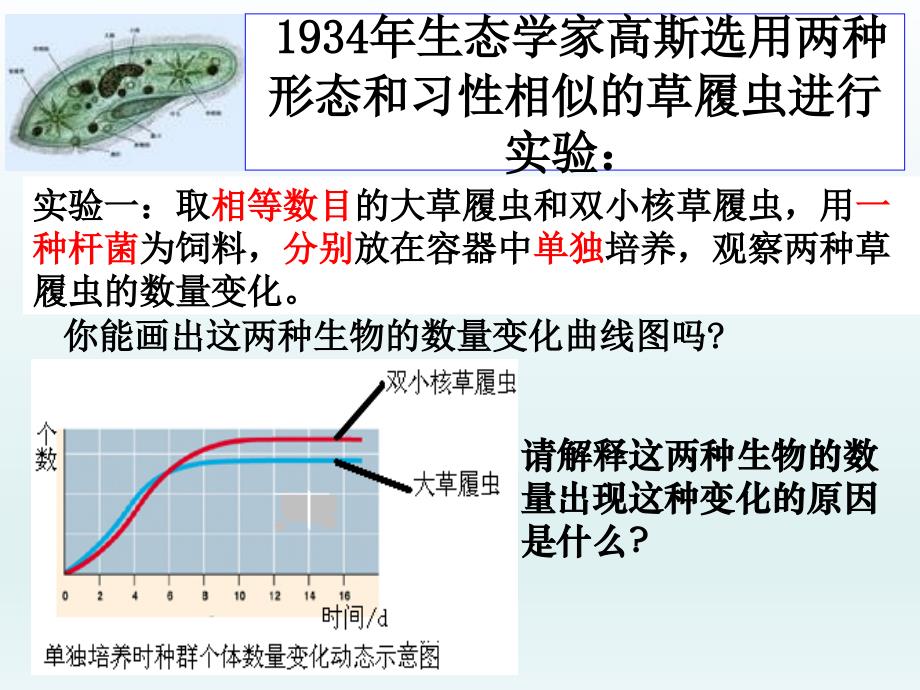 物种在群落中的生态位课件_第2页