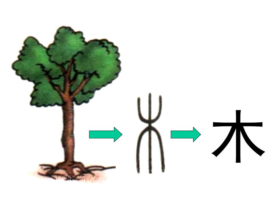 教学课件14 丁丁冬冬学识字——木2_第2页