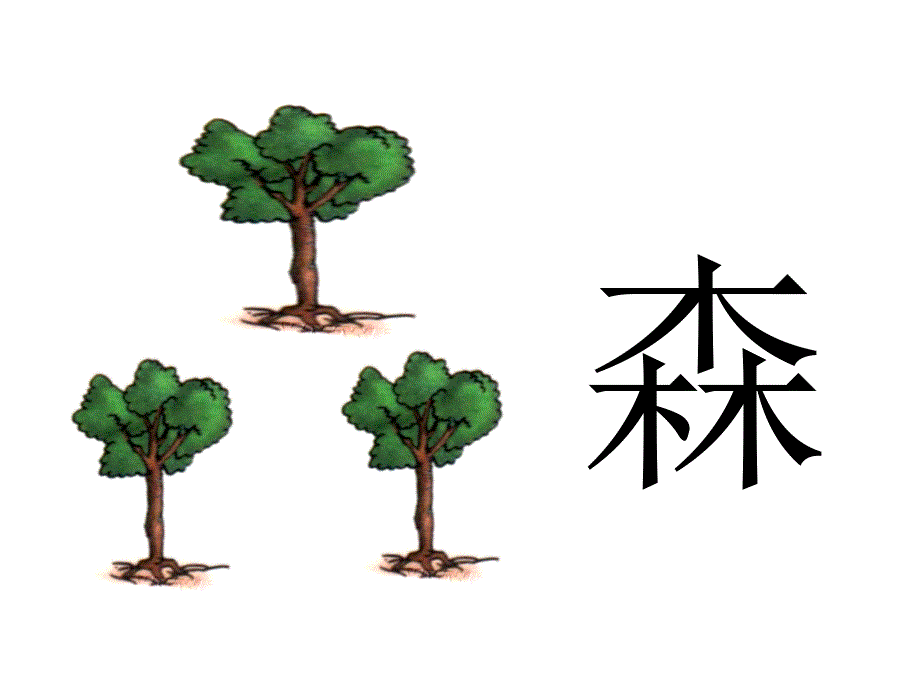 教学课件14 丁丁冬冬学识字——木2_第4页