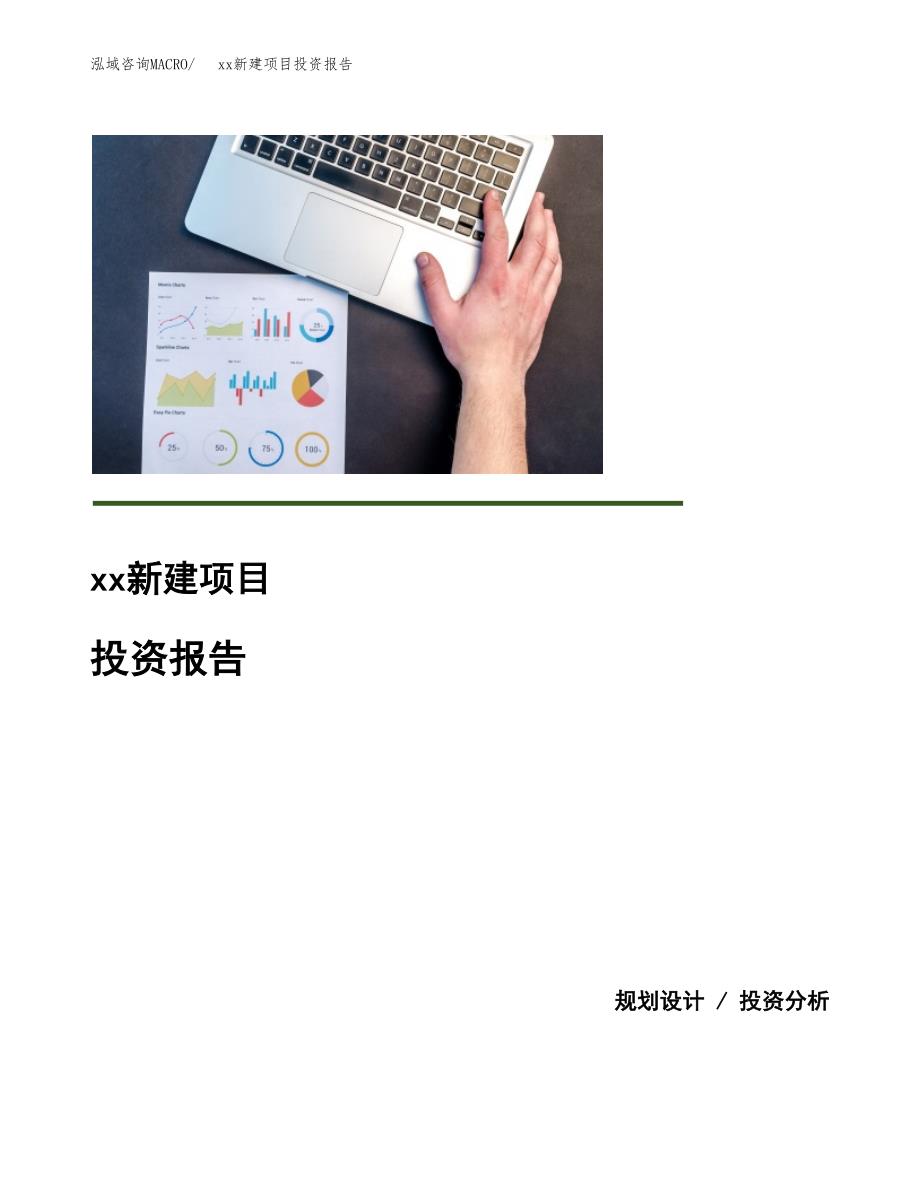 (投资15902.41万元，69亩）模板新建项目投资报告_第1页