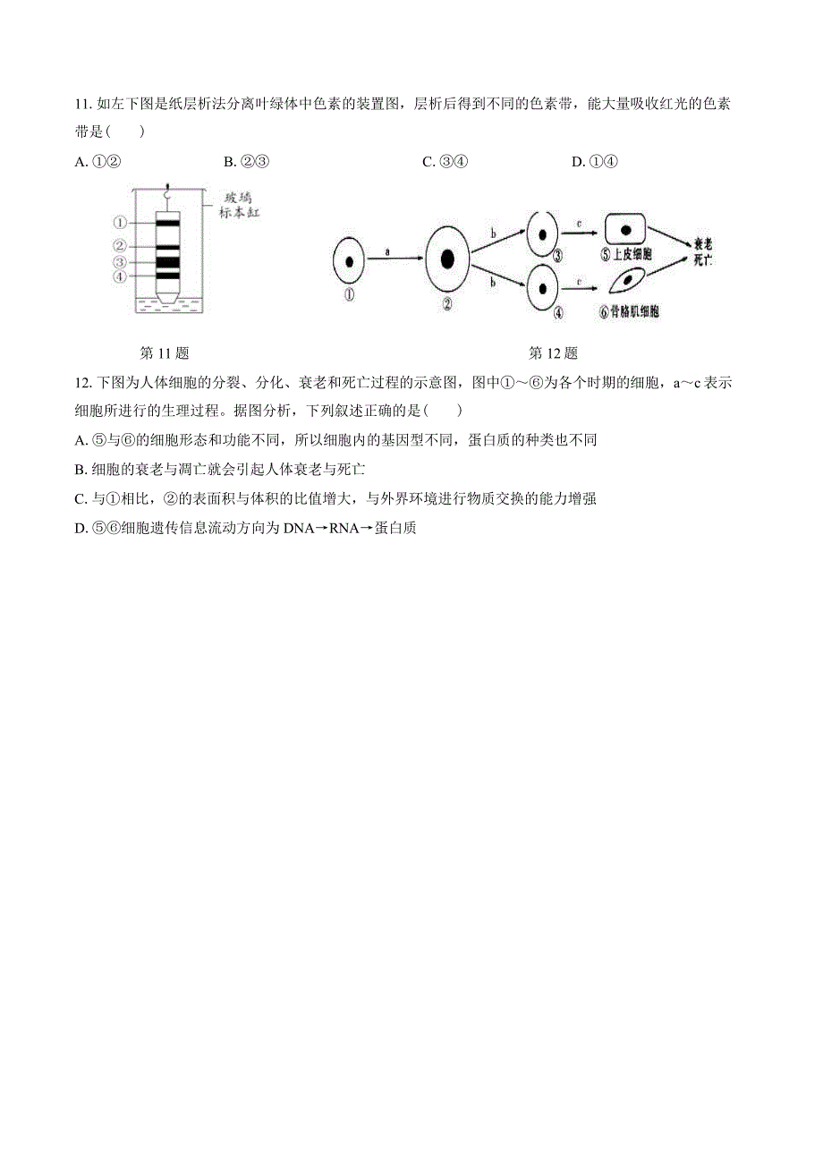 精校word版--高二生物试卷_第3页