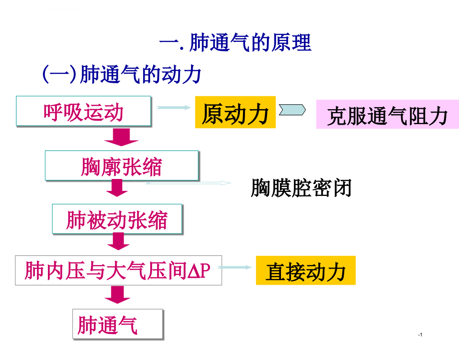 生理学课件第5章呼吸系统 (1)_第3页