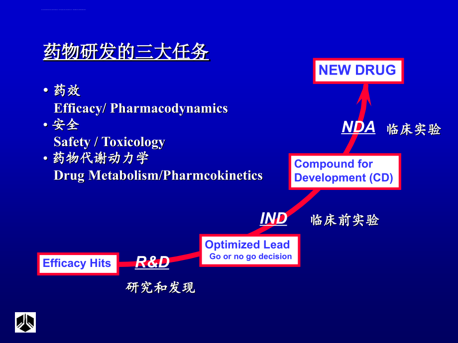 药物代谢及其动力学在新药研发中的应用课件_第2页