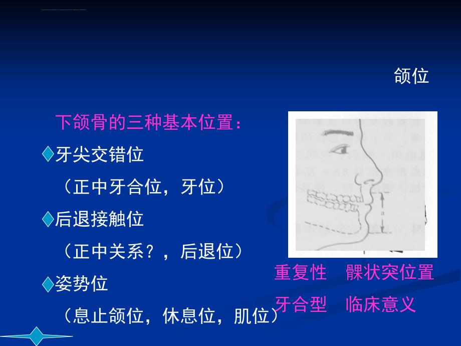 牙列牙合与颌位（颌位）课件_第3页