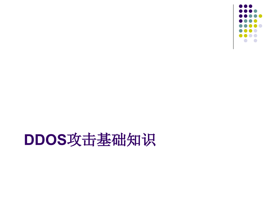 DDOS抗拒绝服务.ppt_第2页