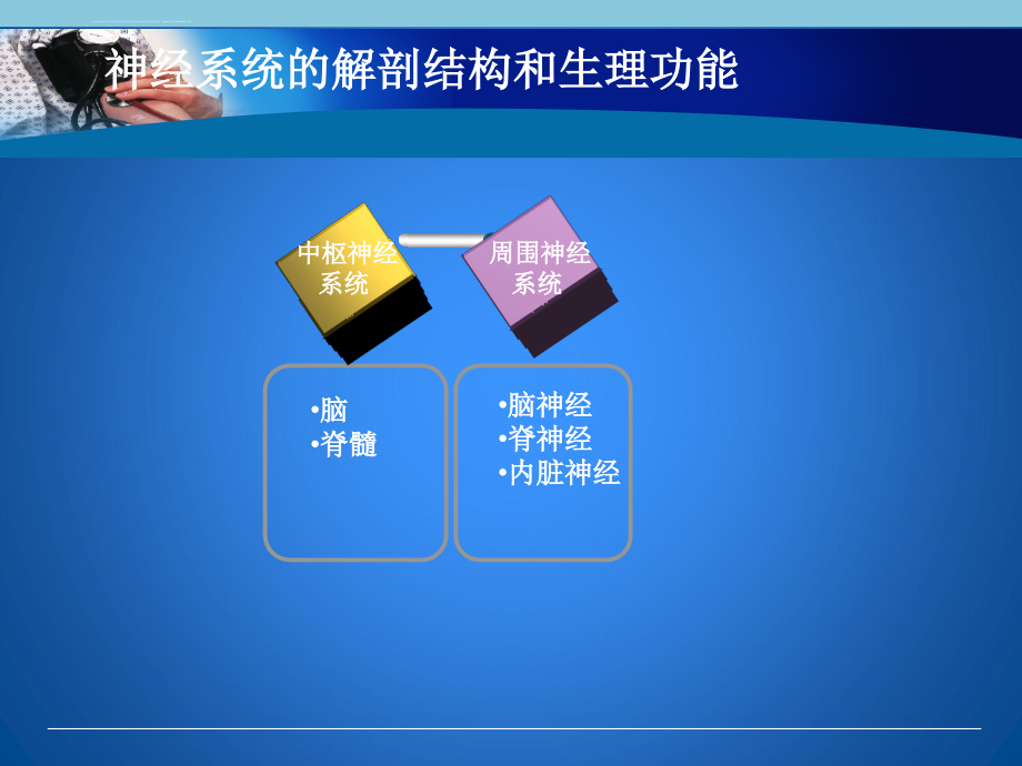 神经系统疾病病人的护理中职内科护理幻灯片_第4页