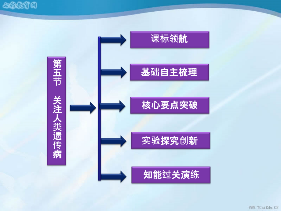 生物必修ⅱ苏教版45-关注人类遗传病-幻灯片_第3页