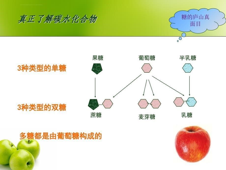 人体对碳水化合物的需要全解课件_第5页