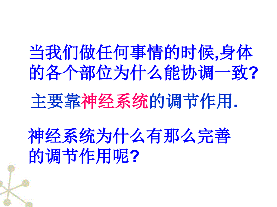 神经系统的组成幻灯片(完成)_第2页