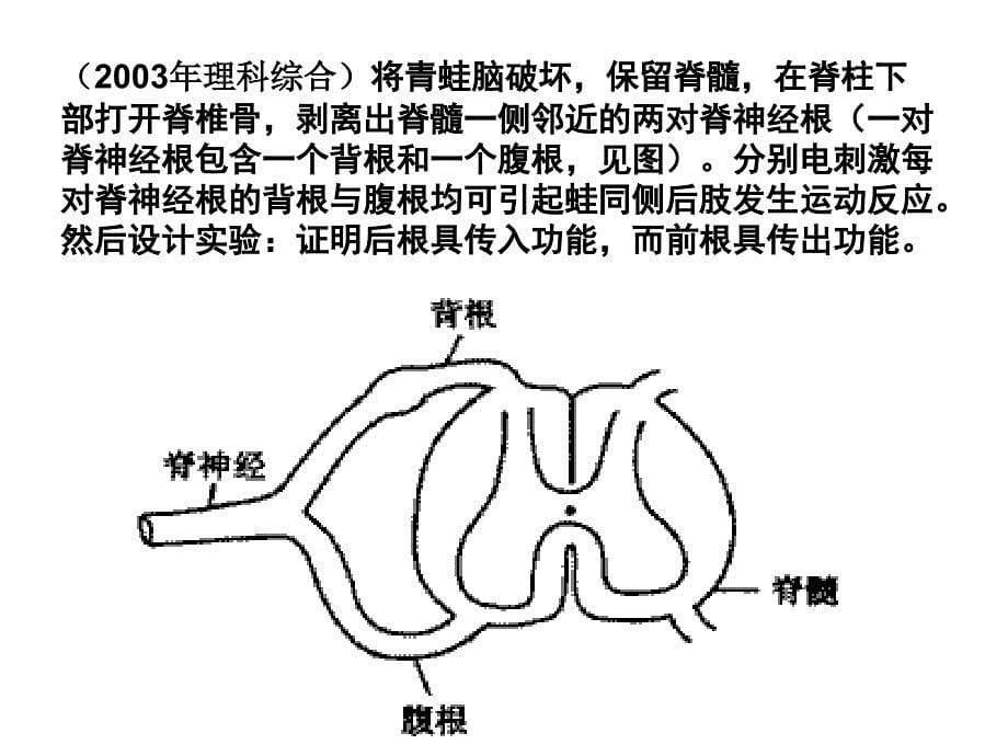 生物幻灯片反射第二课_第5页