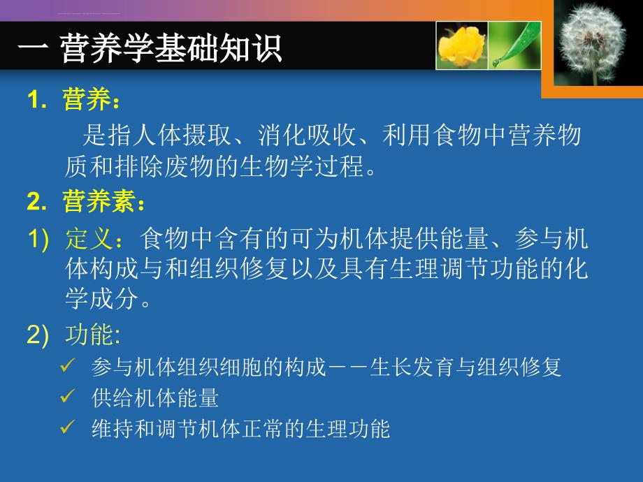 营养与健康健康教育宣传分析课件_第3页