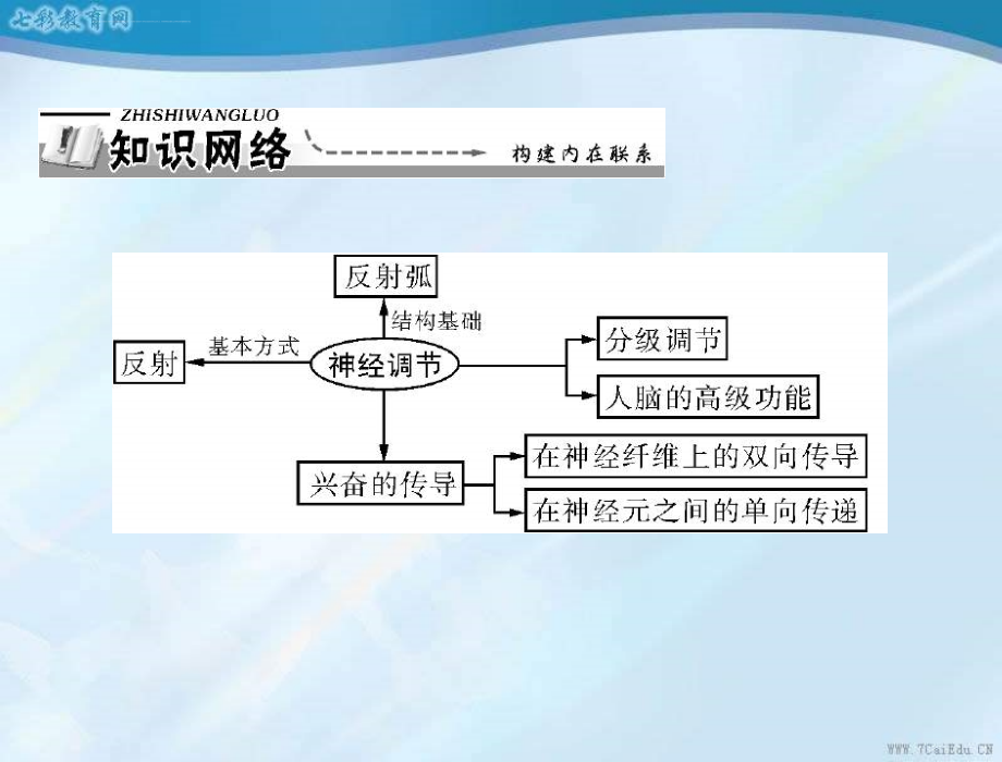 生物必修ⅲ人教新课标21通过神经系统的调节幻灯片_第2页