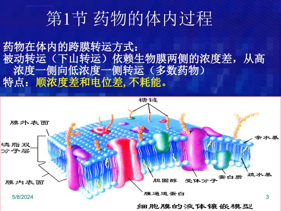 药物代谢动力学-(3)课件_第3页