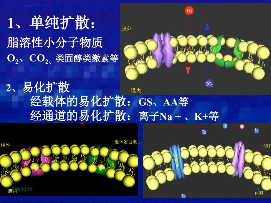 药物代谢动力学-(3)课件_第4页