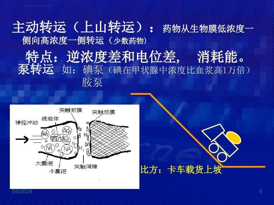 药物代谢动力学-(3)课件_第5页