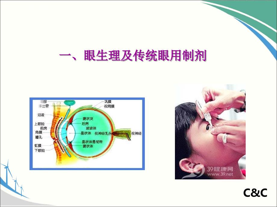 眼部给药新制剂(非常好的ppt模板)课件_第3页