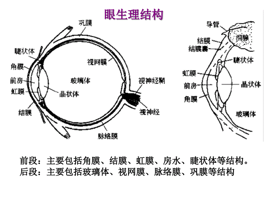 眼部给药新制剂(非常好的ppt模板)课件_第4页