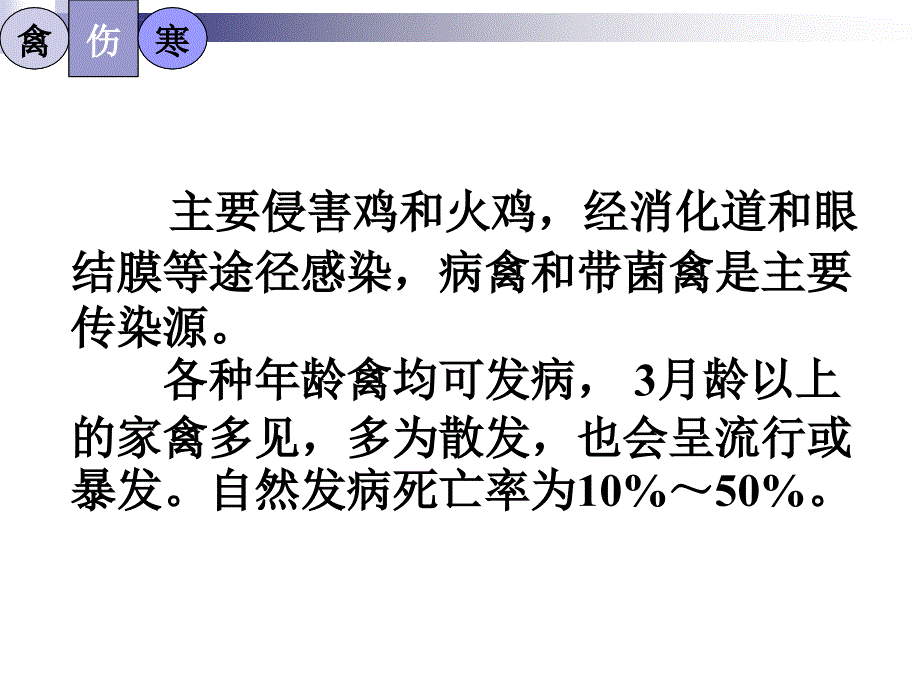 禽病学幻灯片_第4页