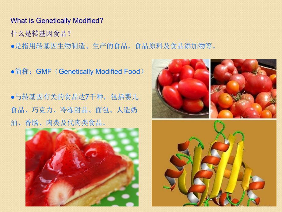 生物：《转基因食品的利与弊》研究性学习幻灯片(新人教版必修2)_第4页