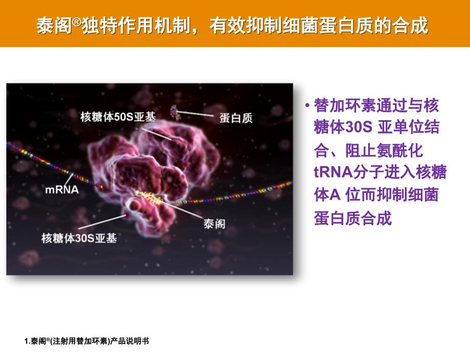 泰阁替加环素幻灯片泰阁替加环素产品基础_第3页