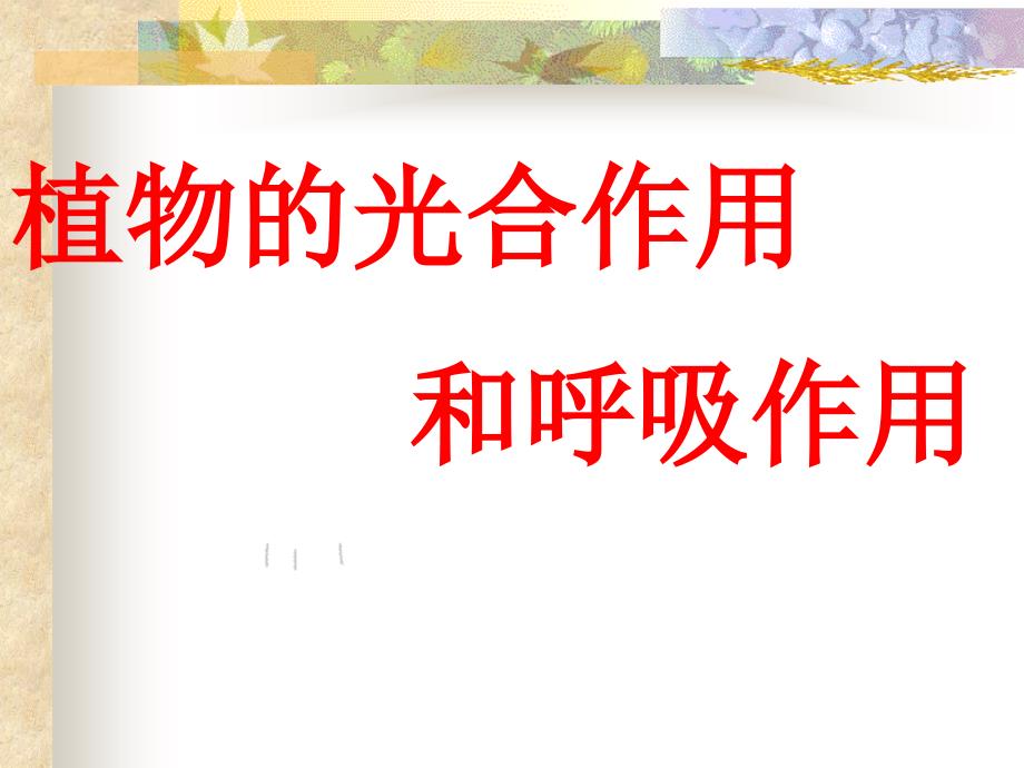 浙教版科学八年级下光合作用和呼吸作用复习幻灯片(共31张ppt)分析_第1页