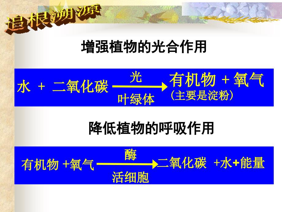 浙教版科学八年级下光合作用和呼吸作用复习幻灯片(共31张ppt)分析_第4页