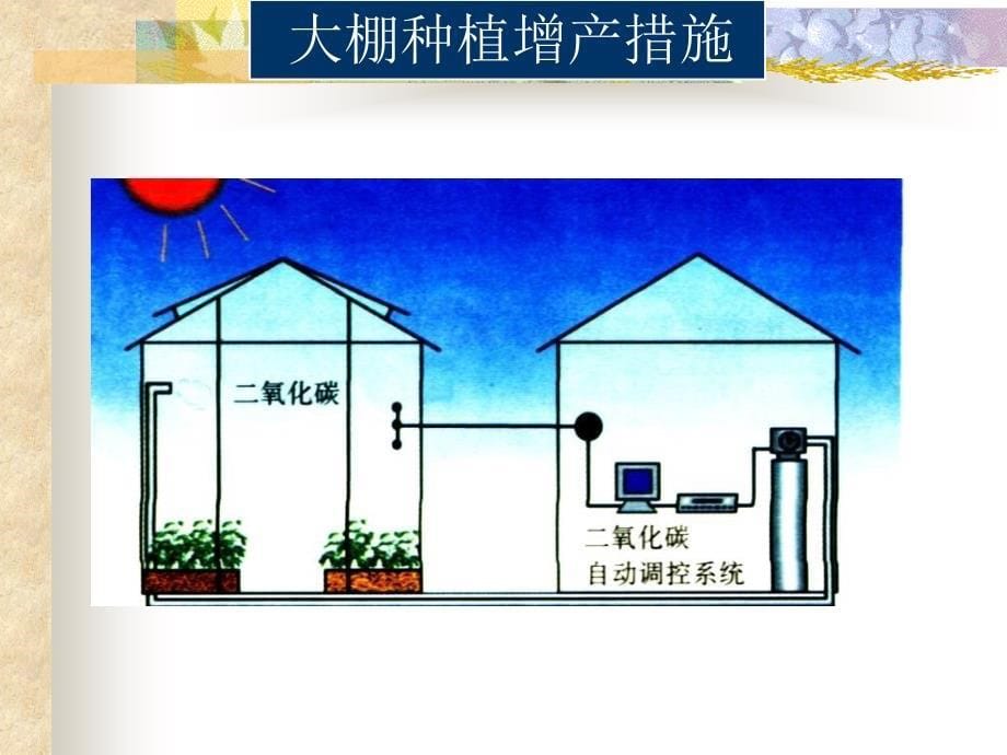 浙教版科学八年级下光合作用和呼吸作用复习幻灯片(共31张ppt)分析_第5页