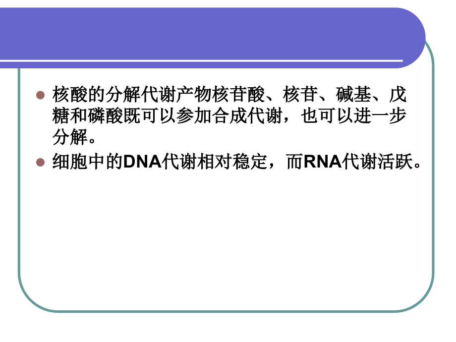 核苷酸代谢4[精品课件]_第3页