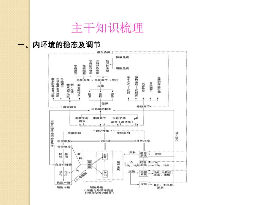 生物：第格罗宝尔集成墙饰一章至第三章归纳整合幻灯片(新人教版必修3)_第2页