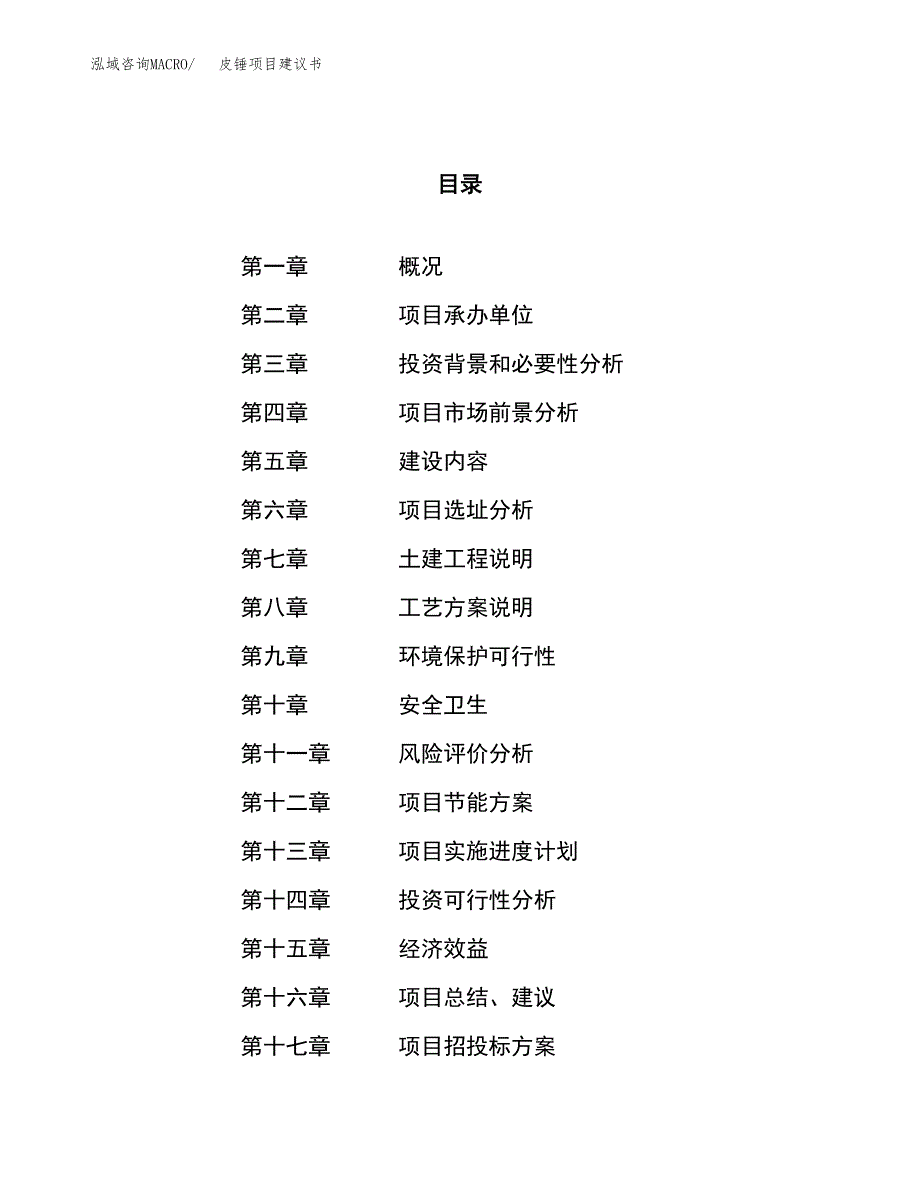 皮锤项目建议书(总投资21827.16万元)_第1页