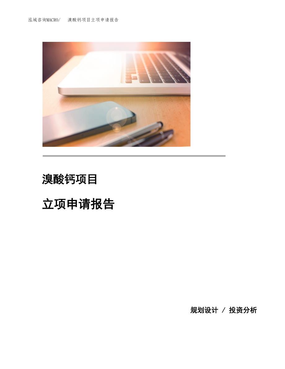 (投资4184.07万元，21亩）项目立项申请报告_第1页