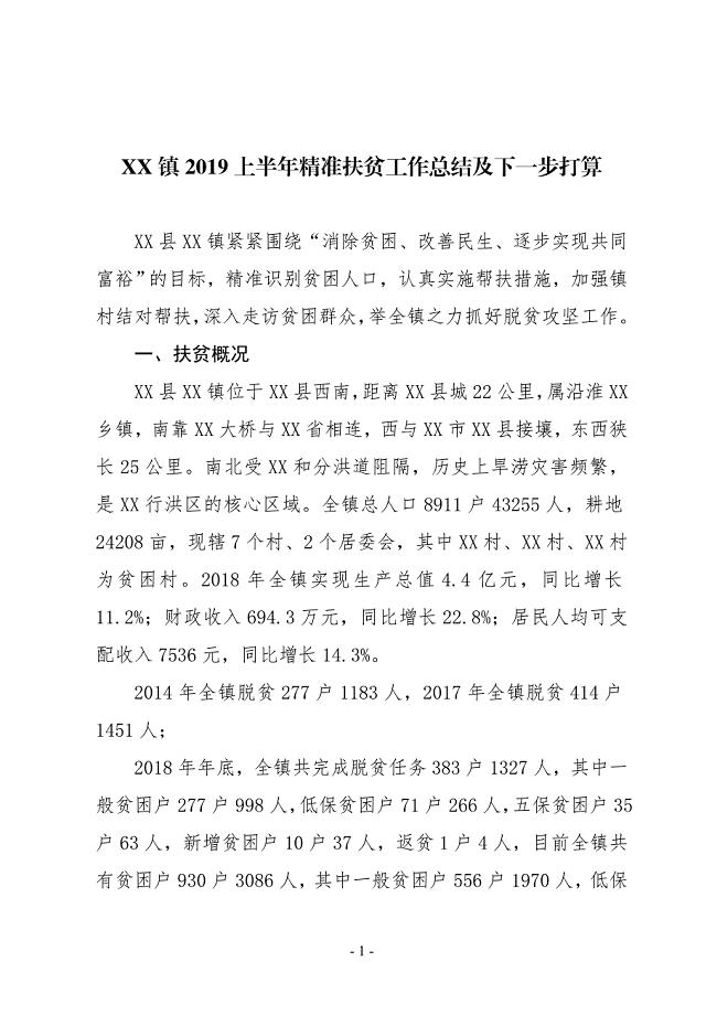 XX镇2019上半年精准扶贫工作总结及下一步打算