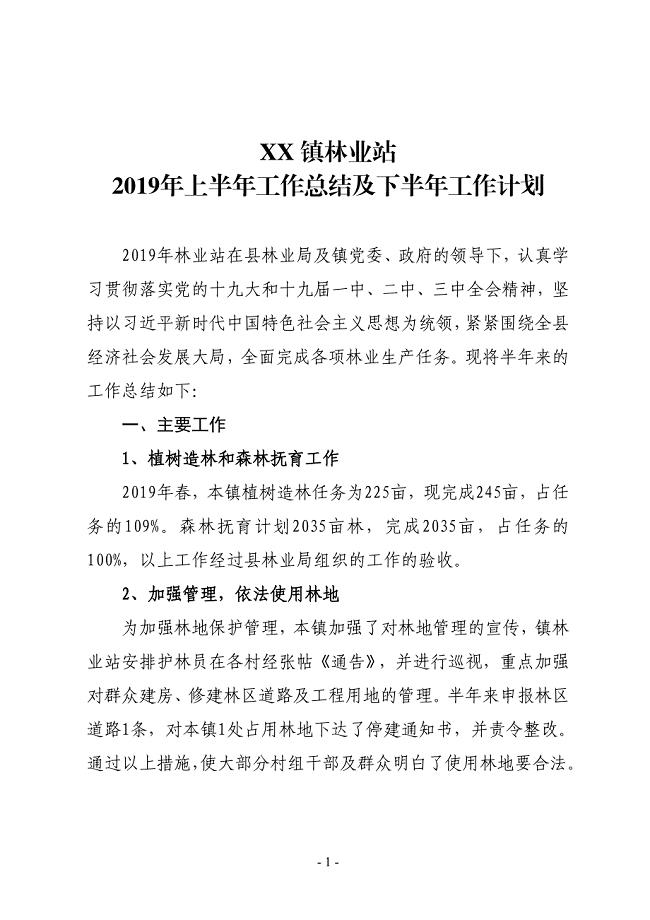 XX镇林业站2019年上半年工作总结及下半年工作计划