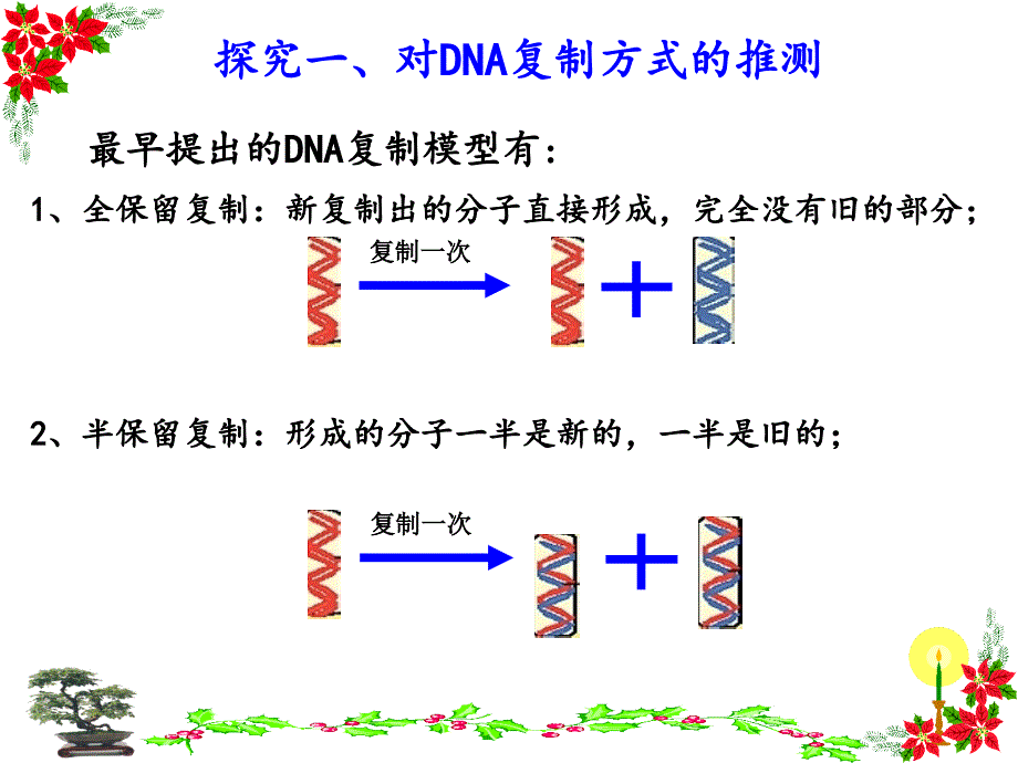 DNA的复制过程(公开课)_第4页