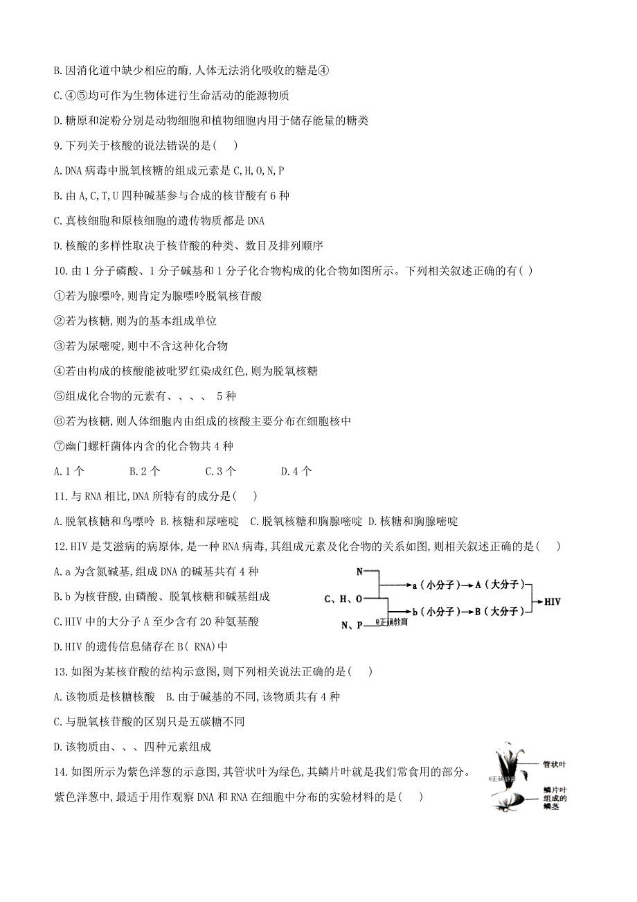 河北省安平县高一生物寒假作业4实验班含答案解析_第2页