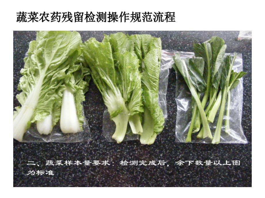 蔬菜农药残留检测操作规范流程（PPT33页)_第3页