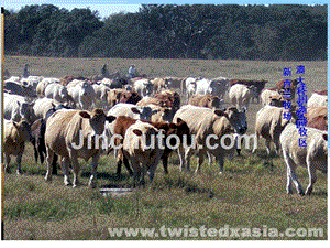3.3-以畜牧业为主的农业地域类型