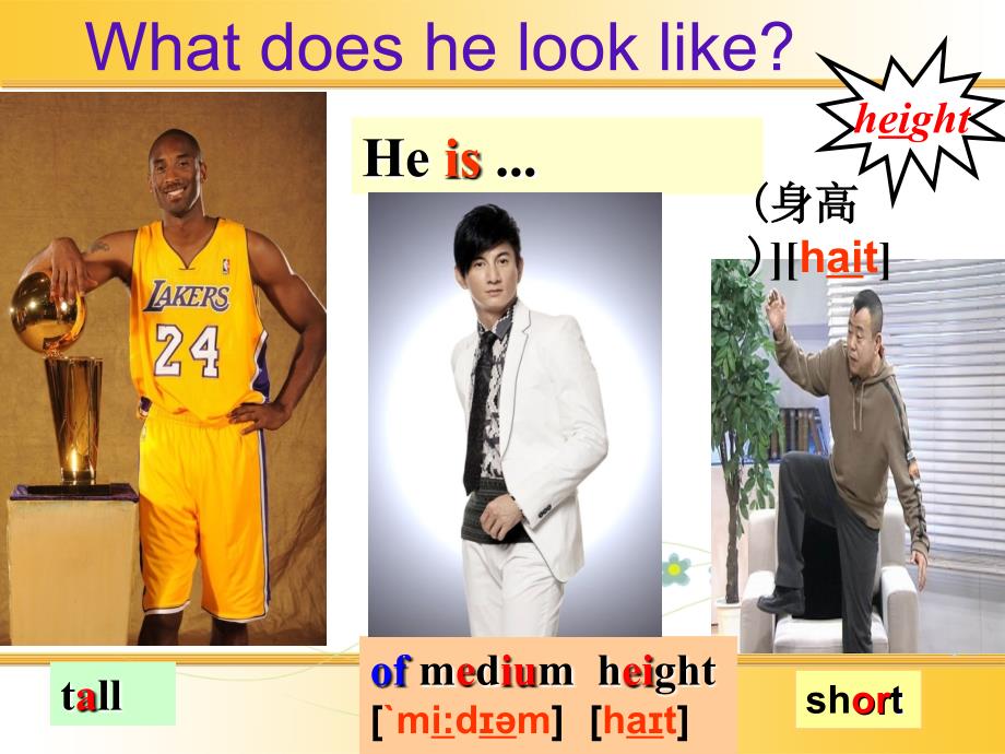 unit9-what-does-he-look-like-公开课课件_第3页