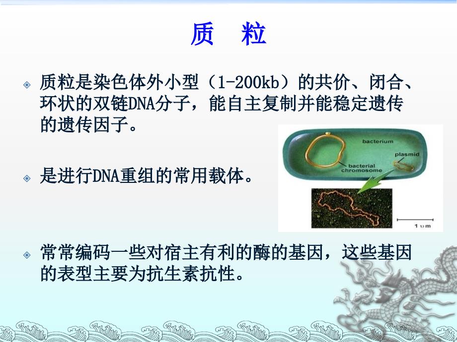 2012-11-7  质粒提取和限制性内切酶消化_第4页