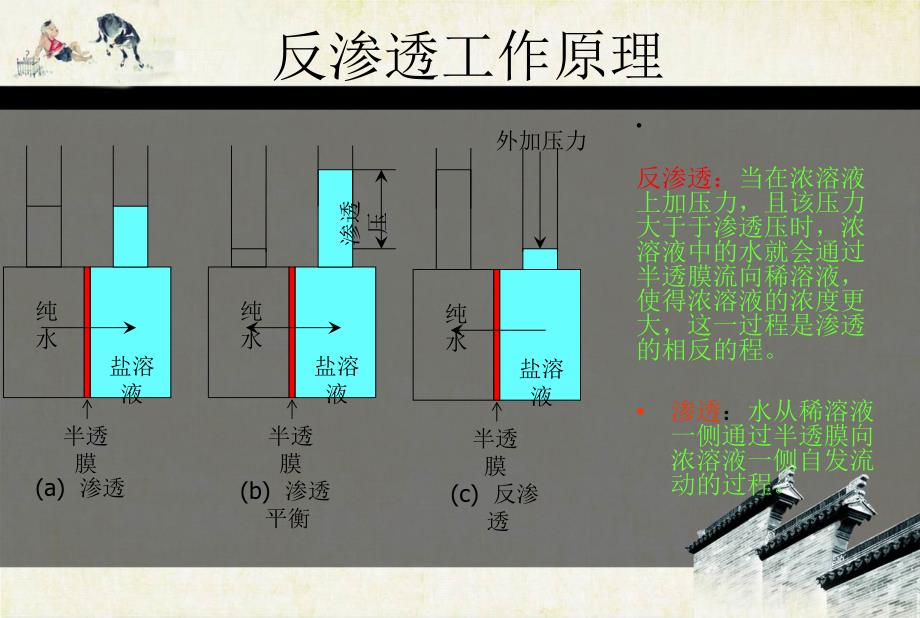 反渗透的原理及其应用_第3页