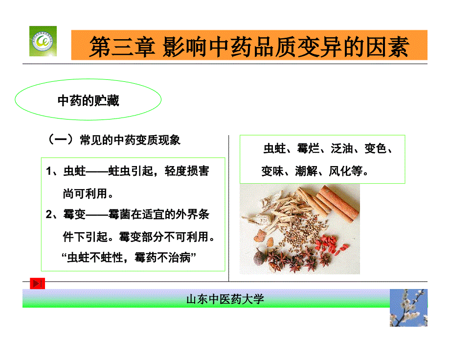 第三章 影响中药品质变质的因素_第2页