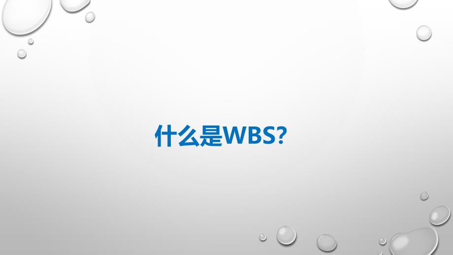 工作分解结构(WBS)_第3页