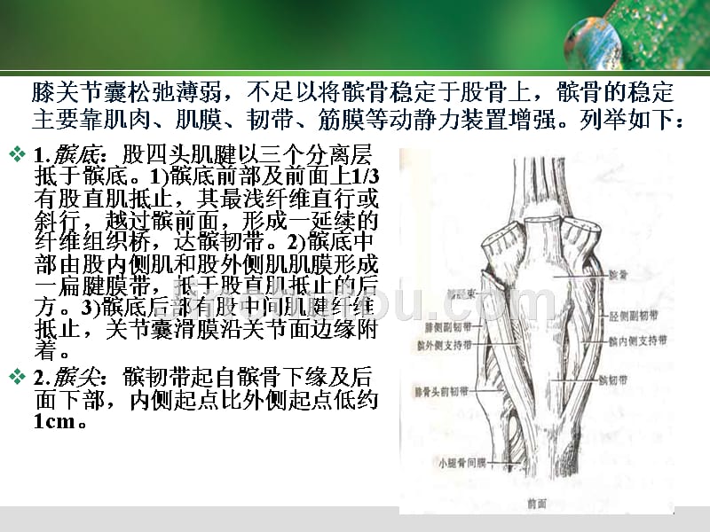 急性髌骨脱位课件_第5页