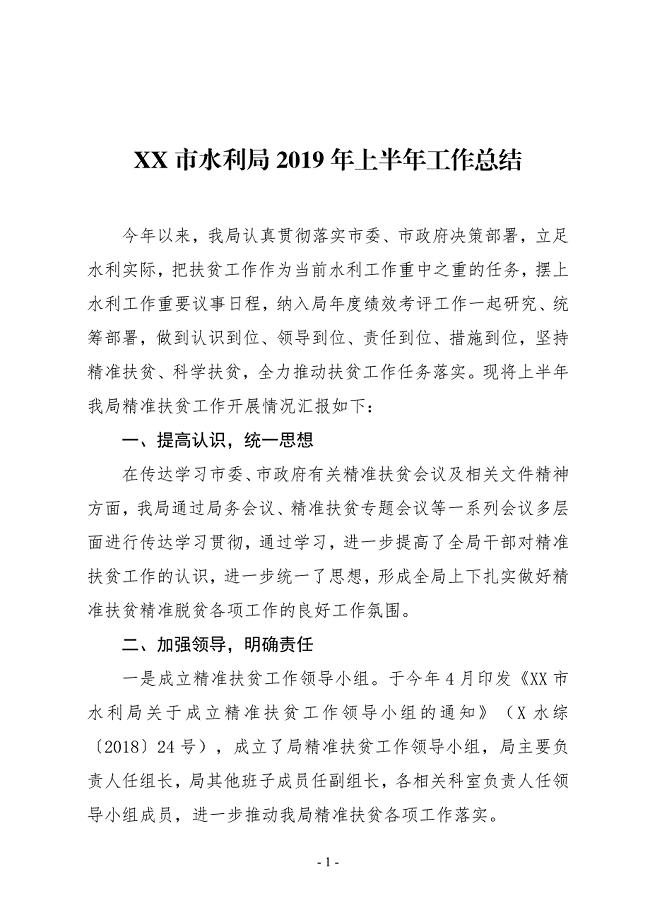 XX市水利局2019年上半年工作总结